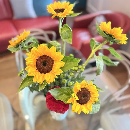 شقة A Casa Di Lu, Al Colosseo -